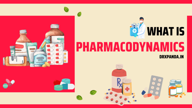 Pharmacodynamics is the study of the biochemical and physiological effects of drugs on the body. It explores how drugs work, their mechanism of action, and the relationship between drug concentration and its effect on the body.